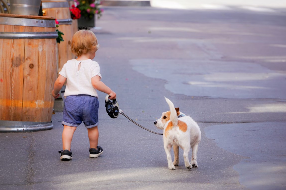 Beneficii de necontestat ale animalelor de companie in viata copiior